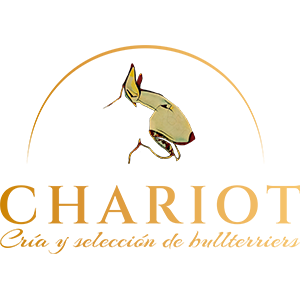Chariot Criadero de Bullterriers
