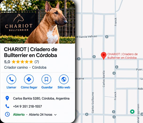 Google Business Profile